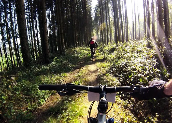 Le Vieux Sart 6 Coo Spa Francorchamps 펜션